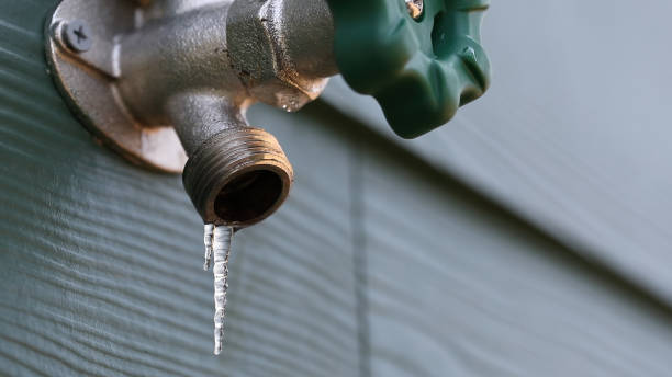 Best Plumbing Services Near Me  in Woodland Beach, MI